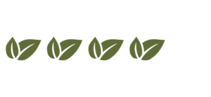 4 icones feuilles vertes