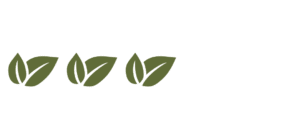3 icones feuilles vertes