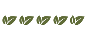 5 icones feuilles vertes